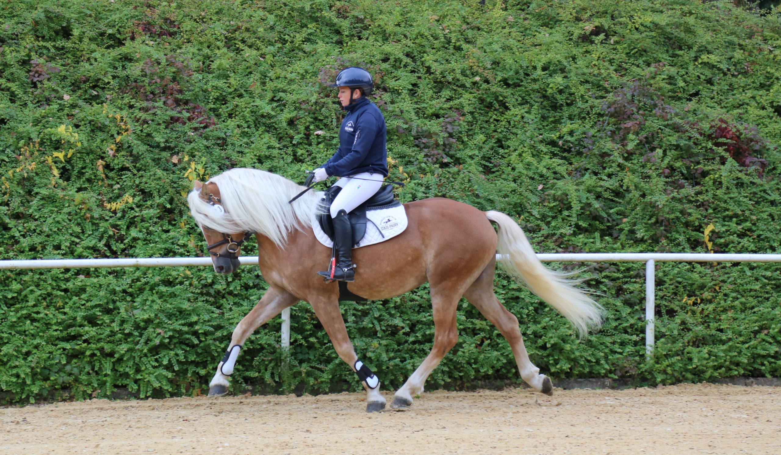 Amsterdam-JB v. Arsenal PrH.
