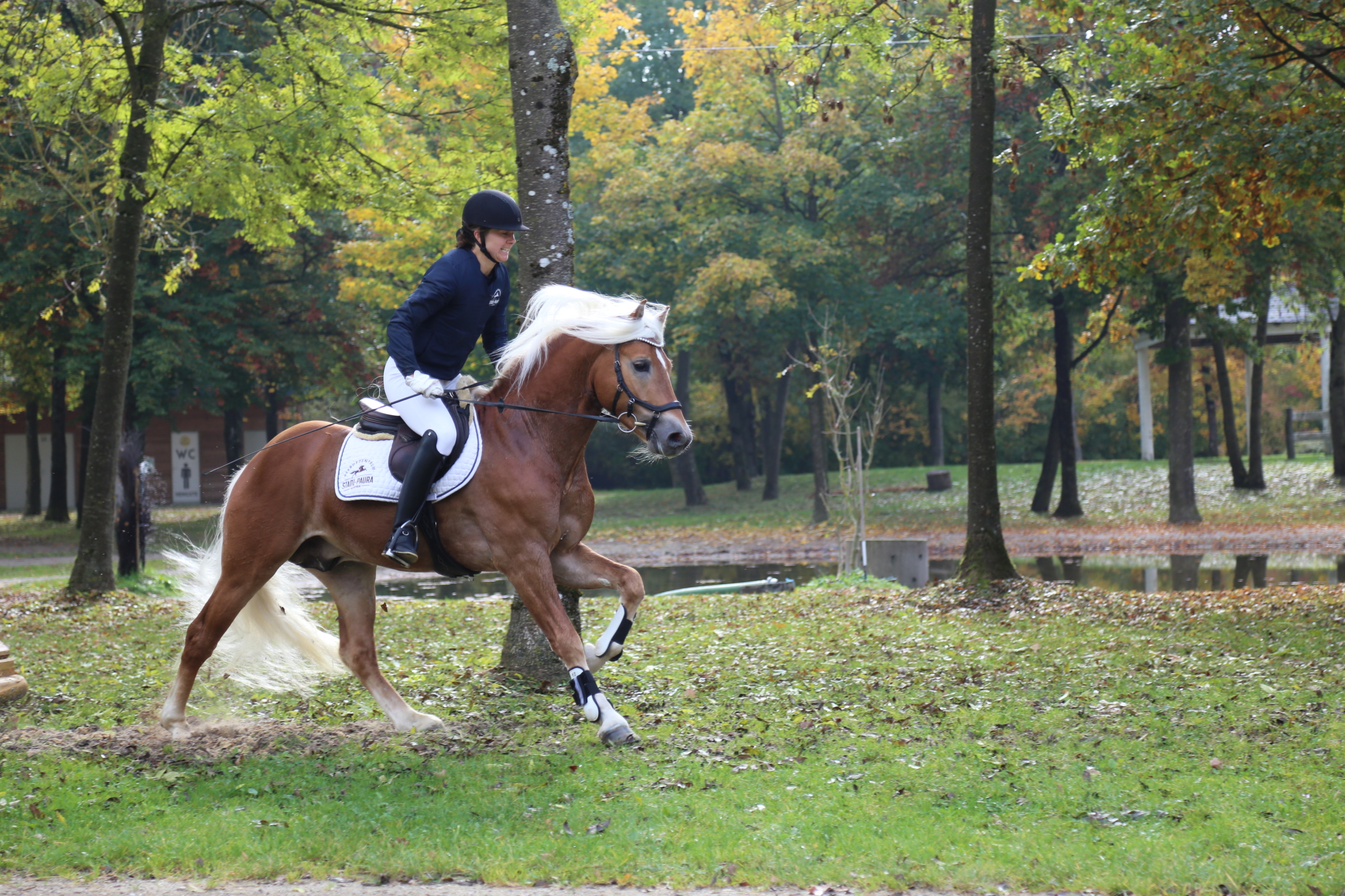 St. Johann v. Sturmkönig