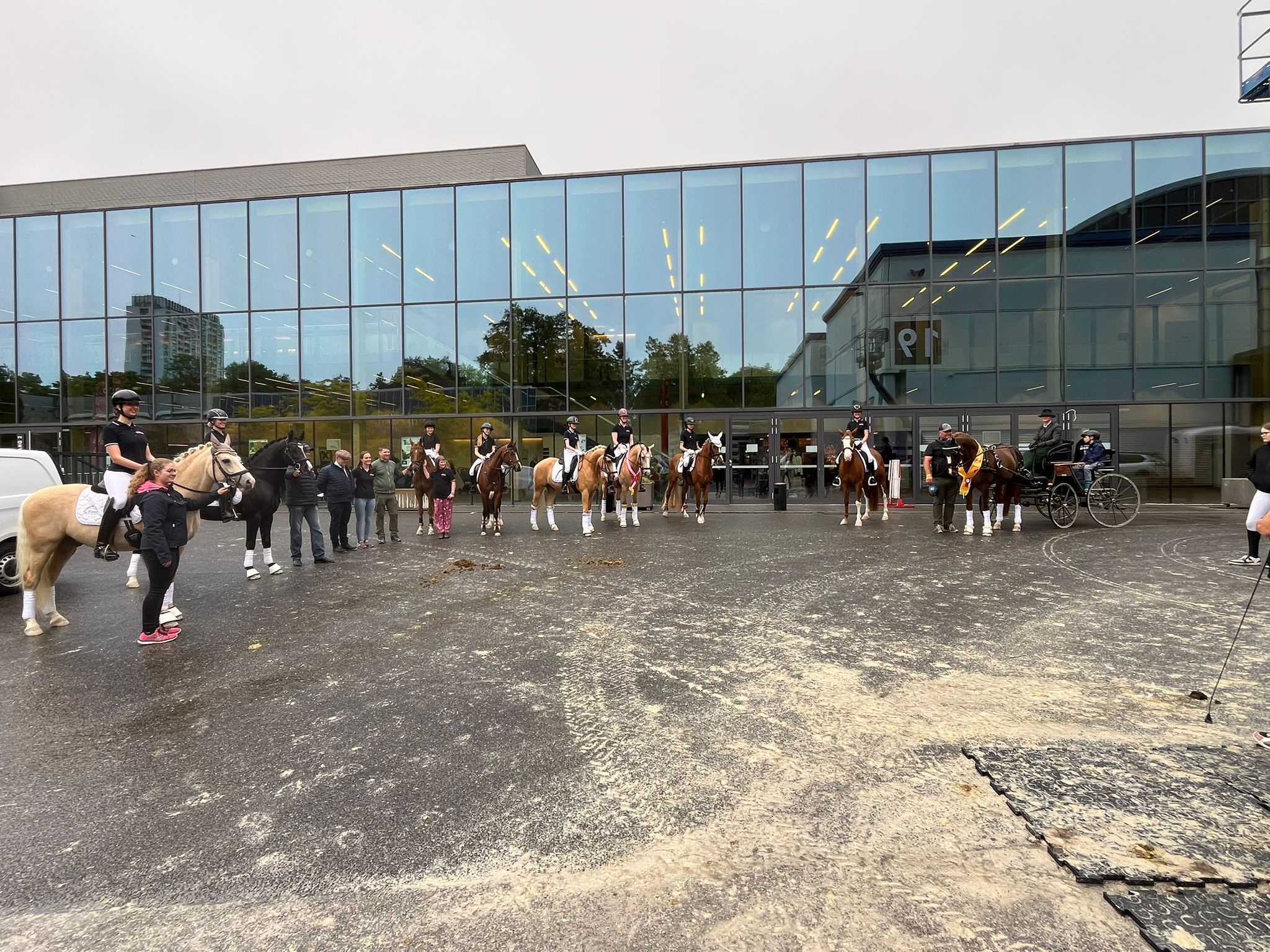 Österr. Reitpony – Messe 2026