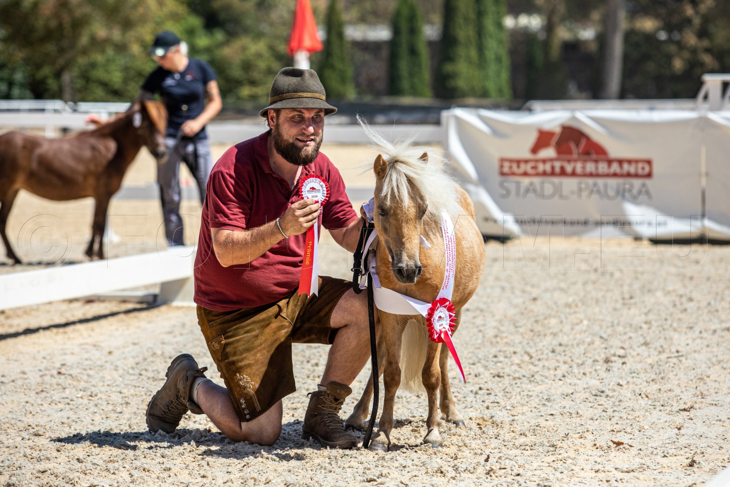 Reservesieger Austrian Partbred Pony Jungpferde – Ophir Only Colours v. Many Colours Only for You