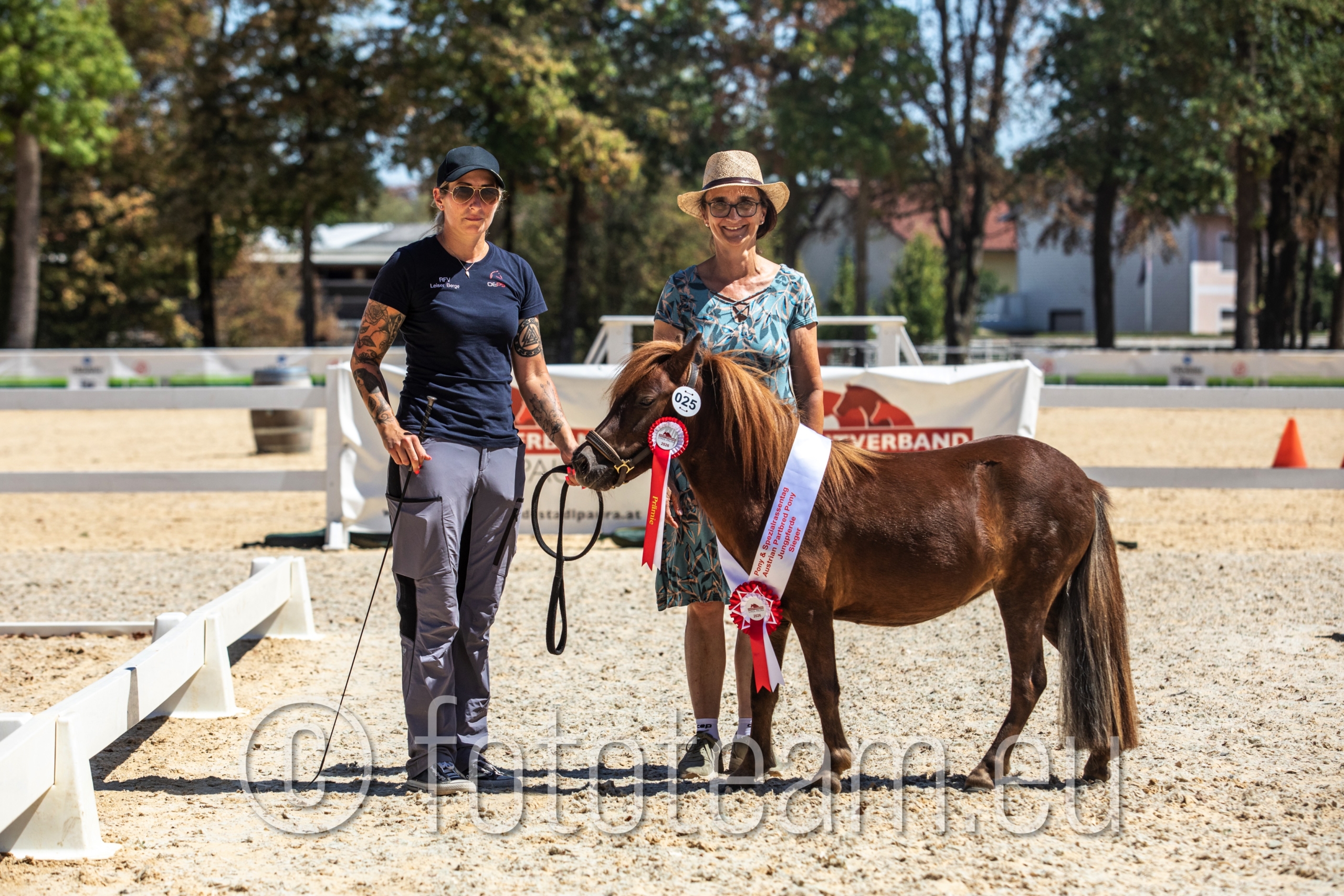 Sieger Austrian Partbred Pony Jungpferde – Future Hope v. Kiragrund . v. Johanna´s Ricardo PrH.