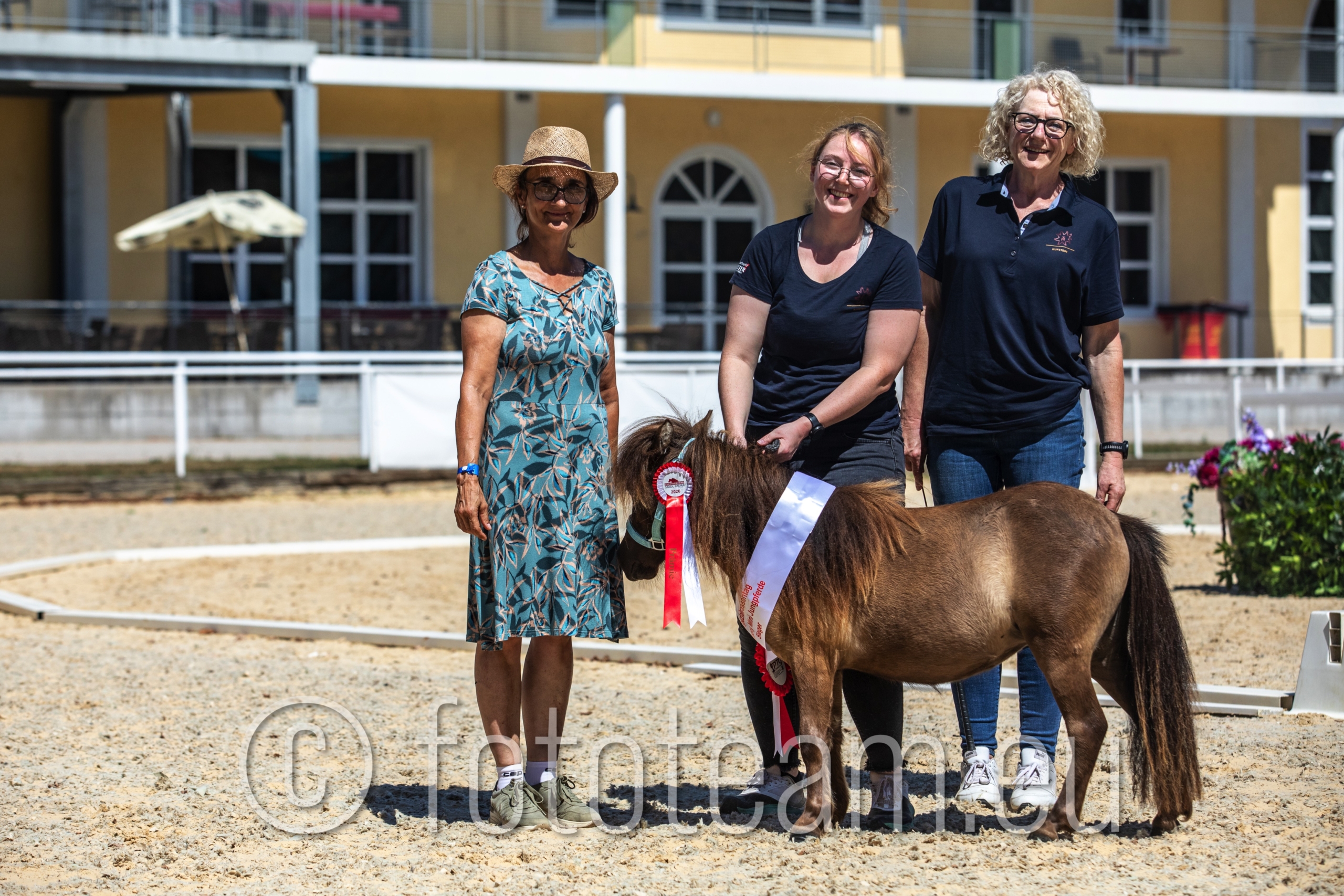 Sieger Shetlandpony Minityp Jungpferde – Teisenbergs Dolores v. Oakham of Chestnut Stable