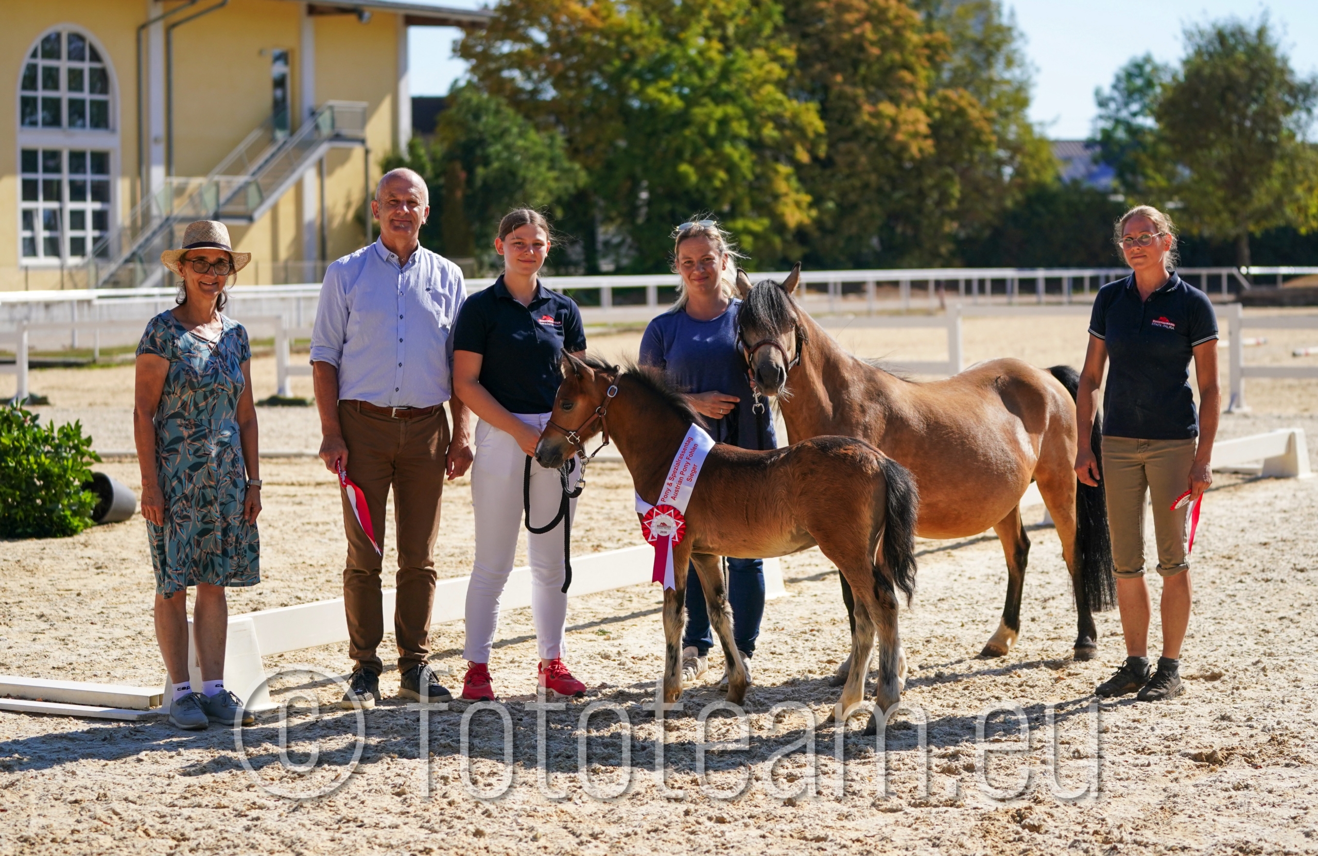 Siegerfohlen Austrian Pony – Canticos Sunbeams Glad Echo