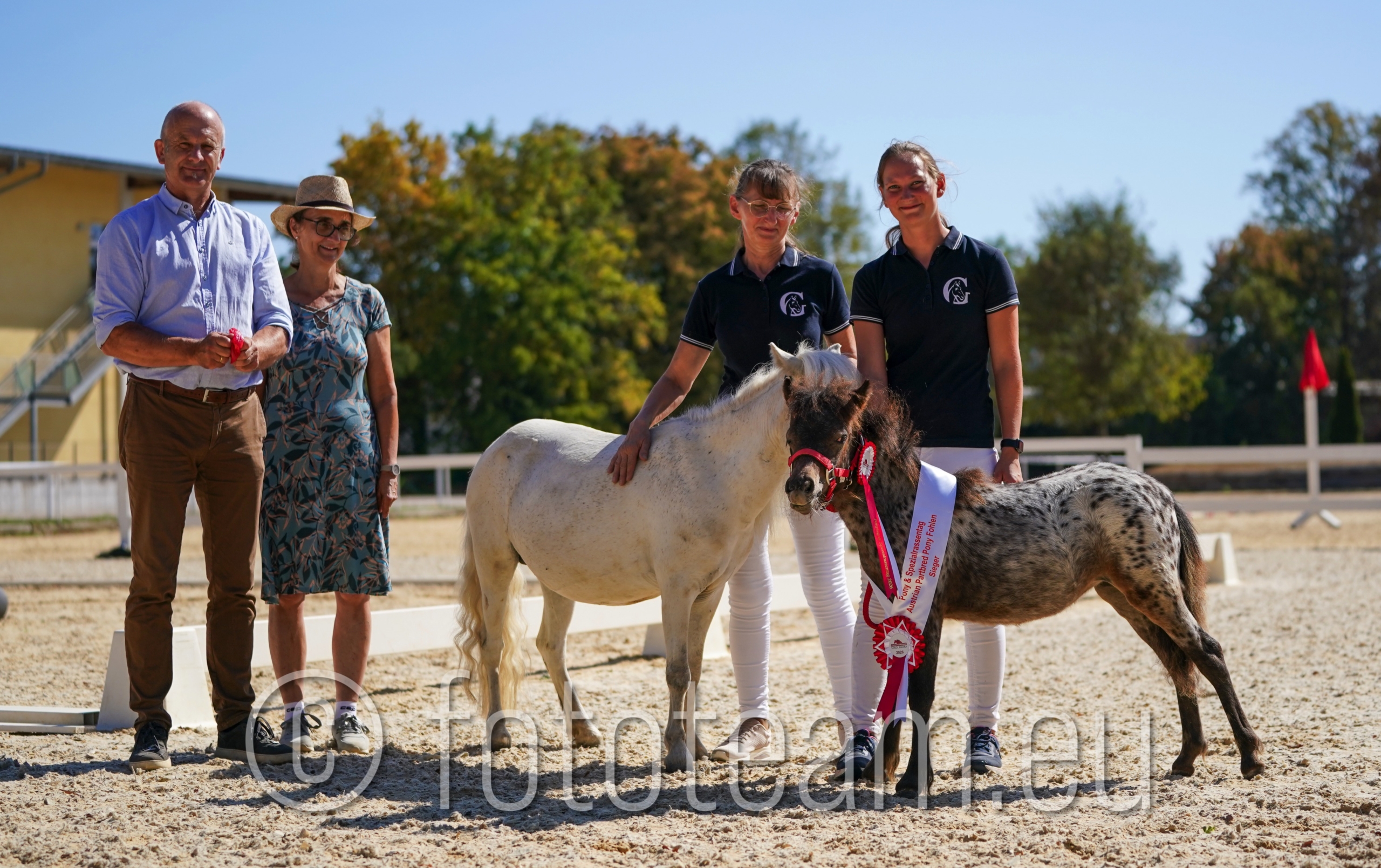 Siegerfohlen Austrian Partbred Pony – Minnie Maus v. Renzo PrH.