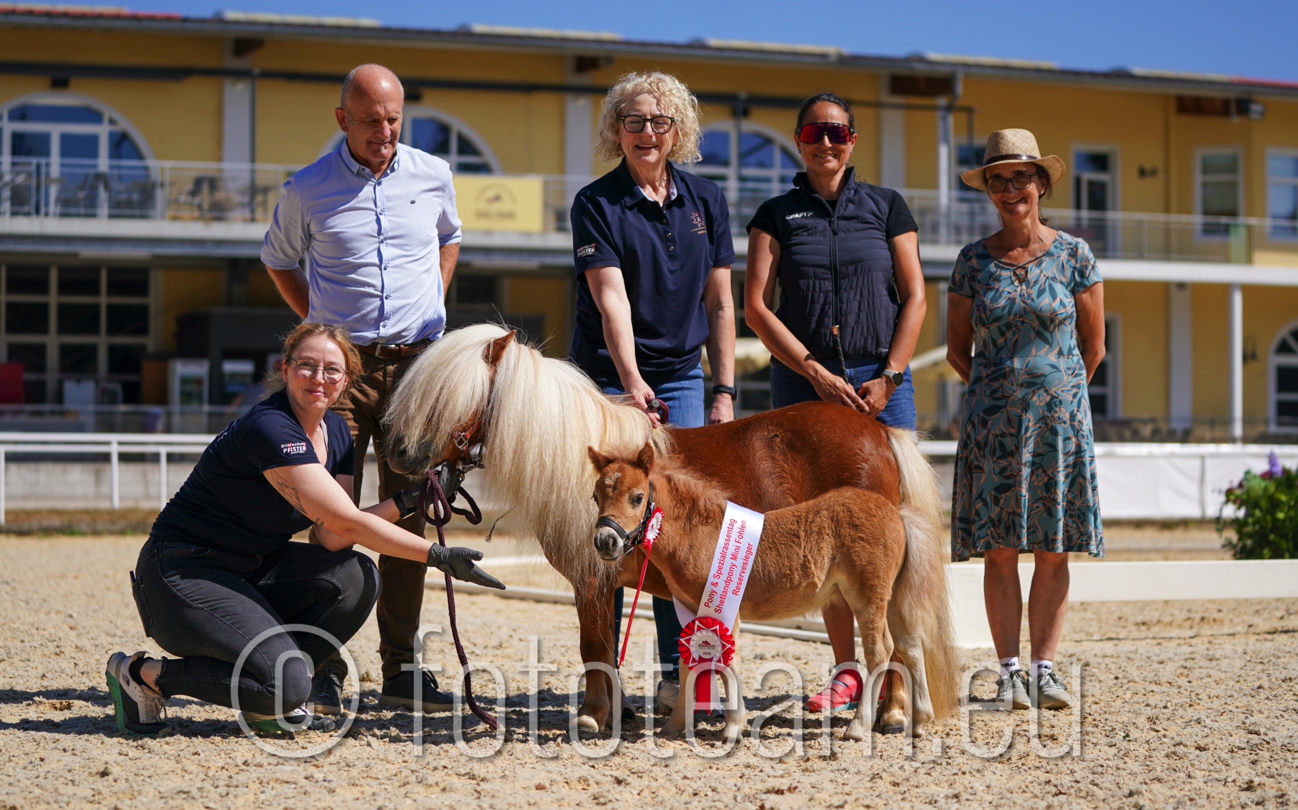 Reservesiegerfohlen Shetlandpony Minityp – Lotti v. Patriot Permonik PrH.