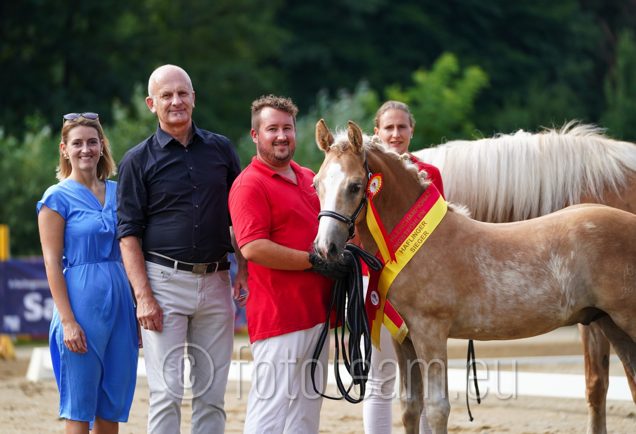 Sieger Haflingerfohlen – Tschirk´s Antonio