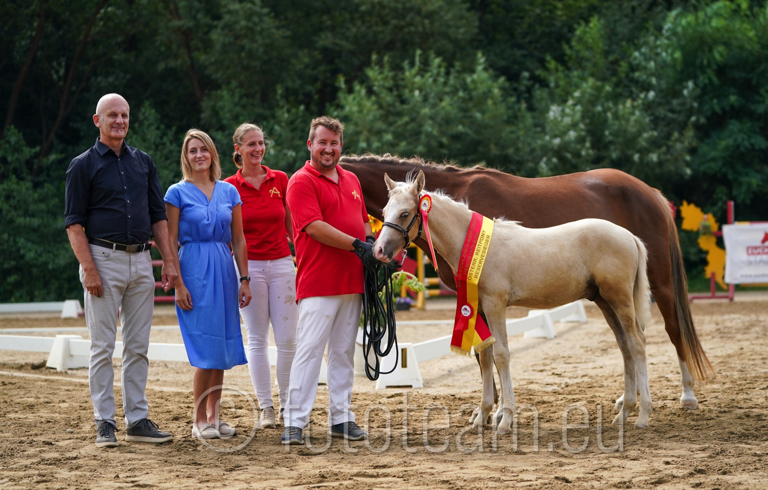 Reservesiegerhengstfohlen Reitpony –