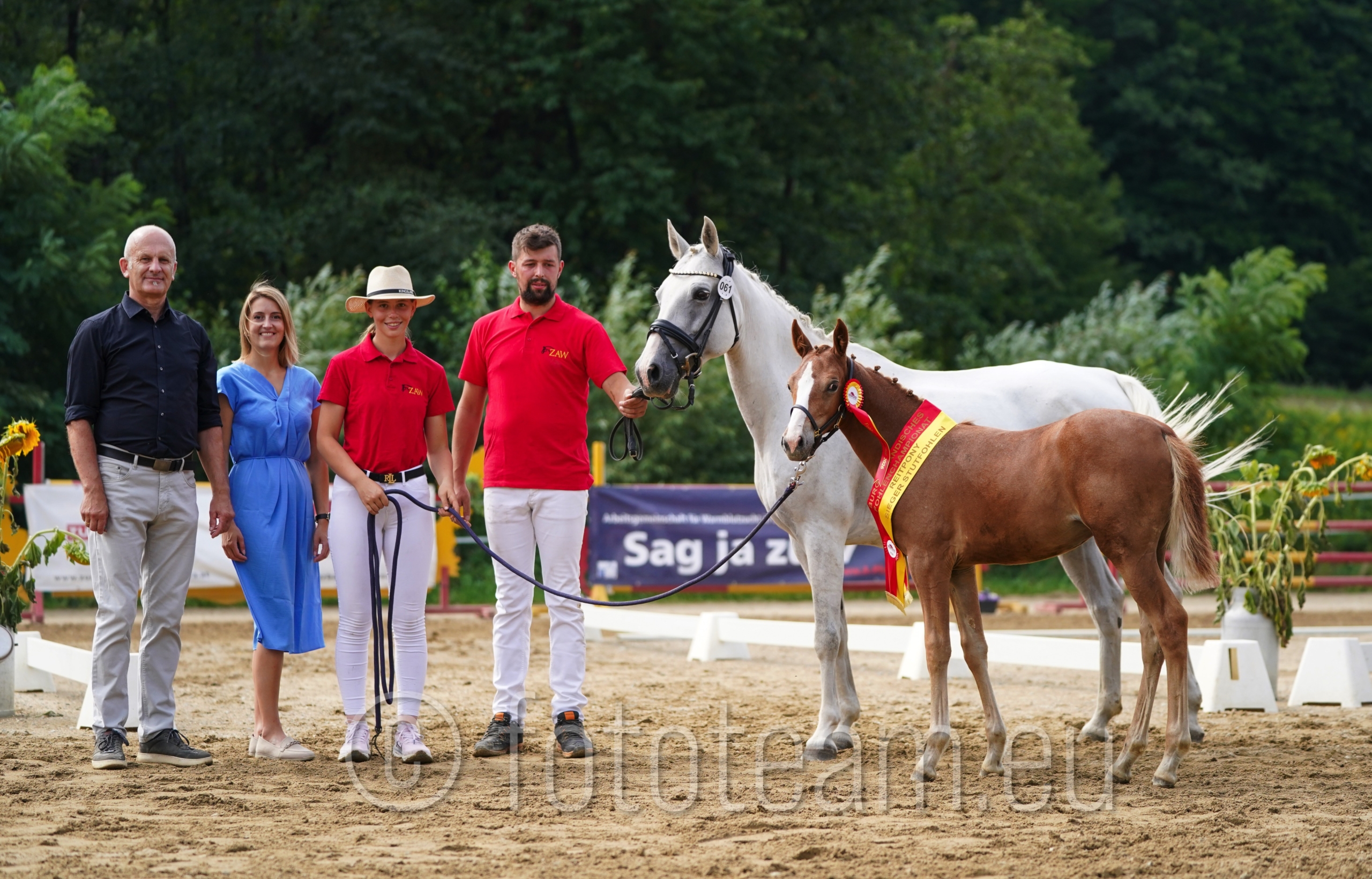 Siegerfohlen Reitpony – Zuckerpuppe W