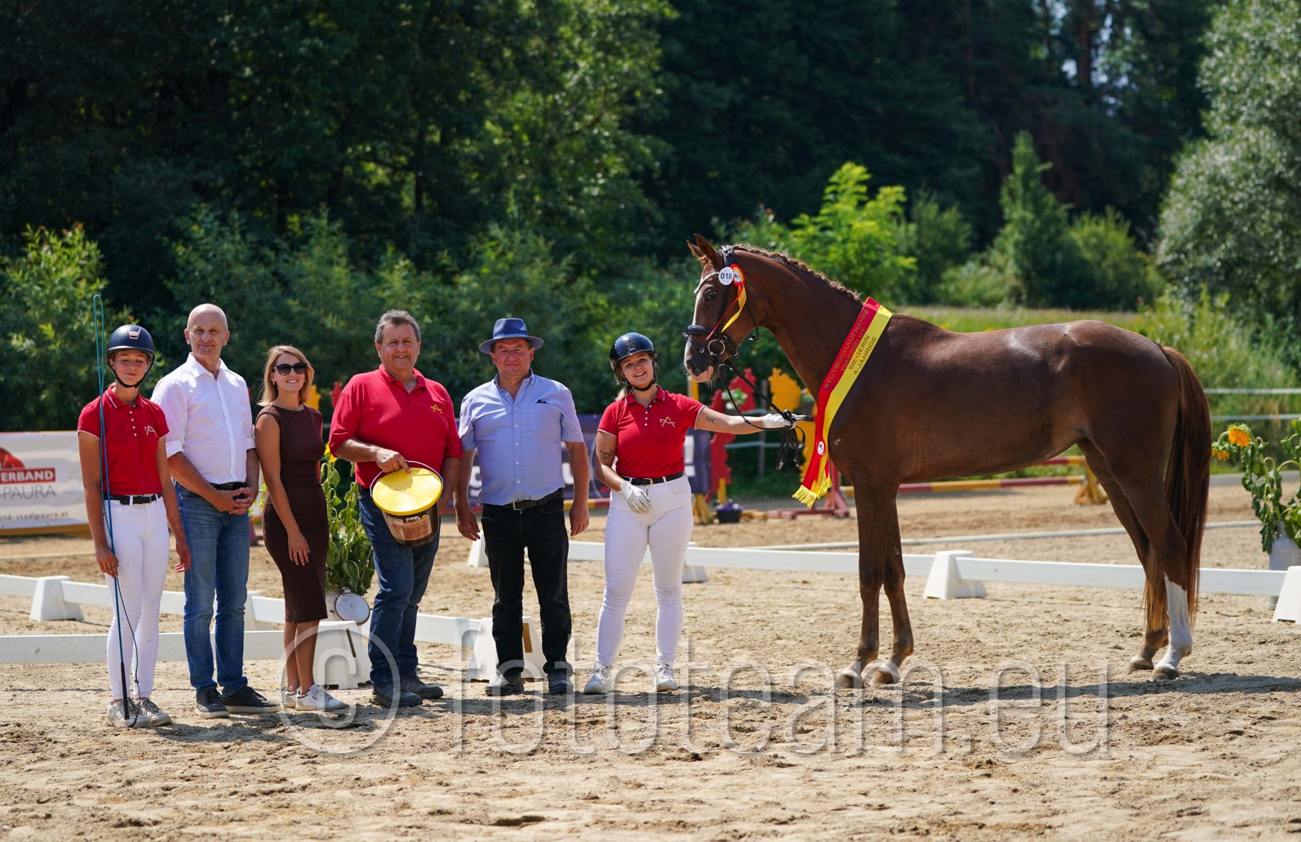 Siegerstute 4-jährige Warmblutstuten – Euphorie GDM