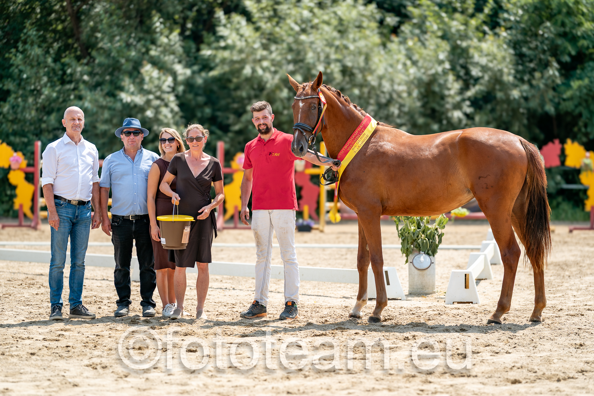 Siegerstute 3jährige Warmblutstuten – Rose Harry W