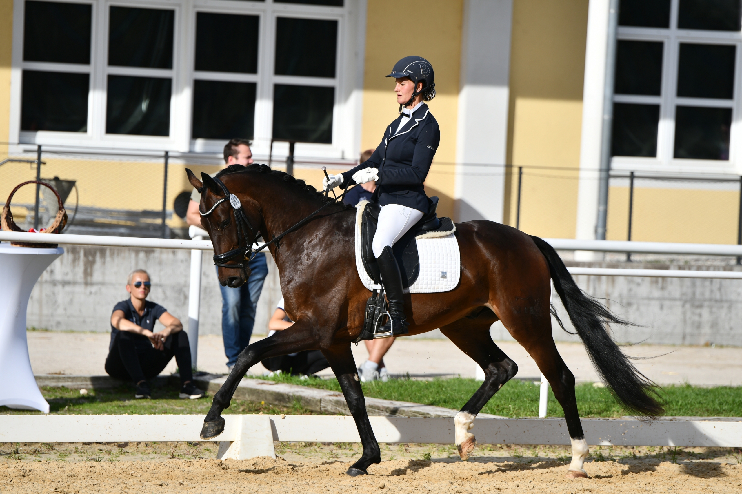 Elliseo v. Ellis NRW